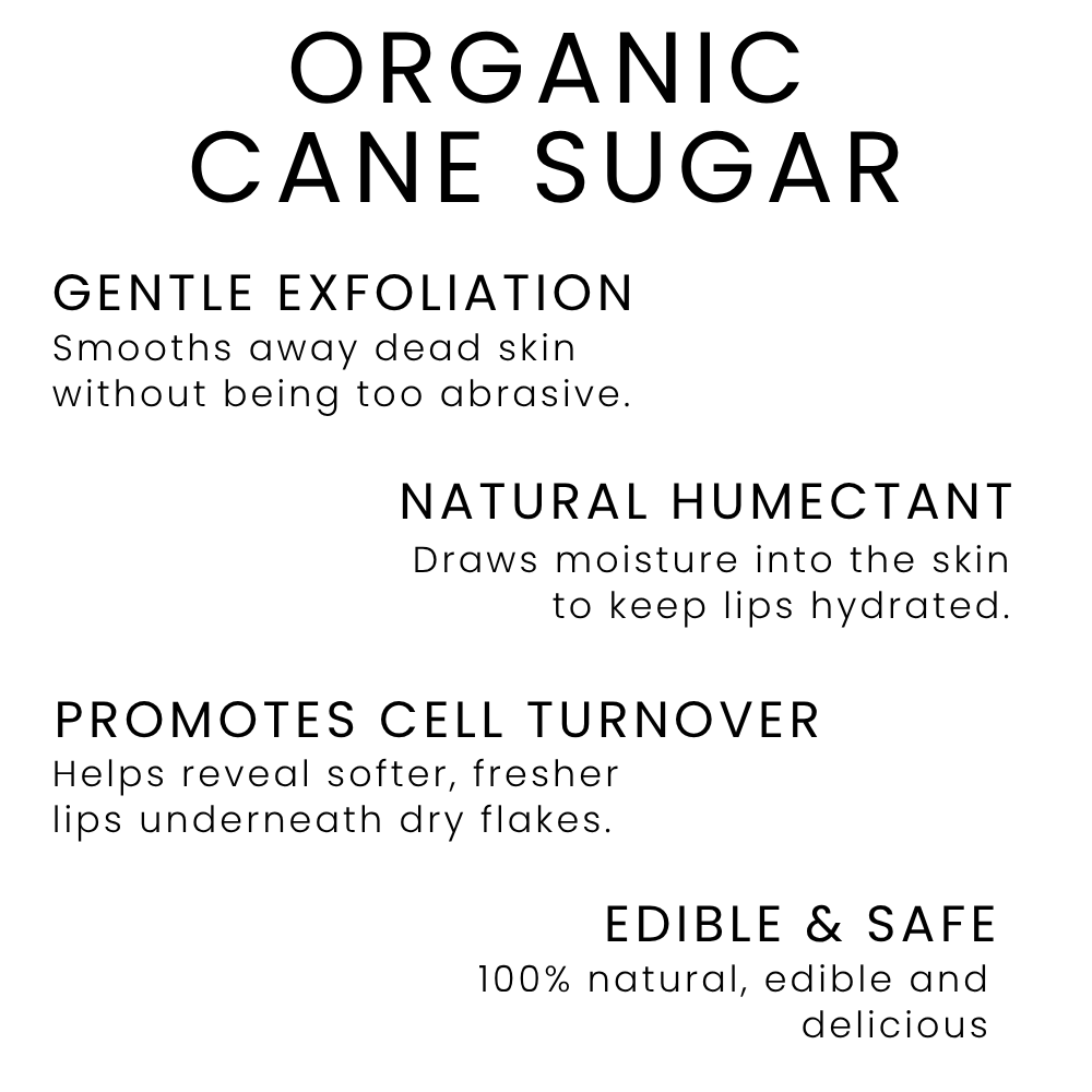Chapie's Gentle Sugar Lip Polish